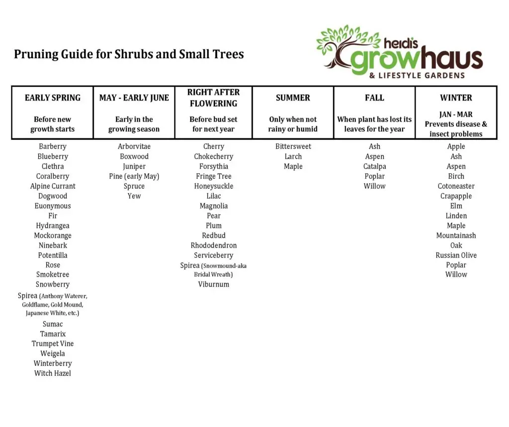 best pruning practices for various plants garden maintenance checklist