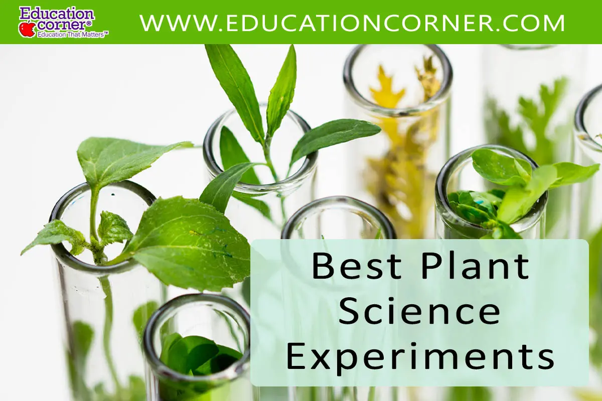 understanding the basics of gardening science experiments