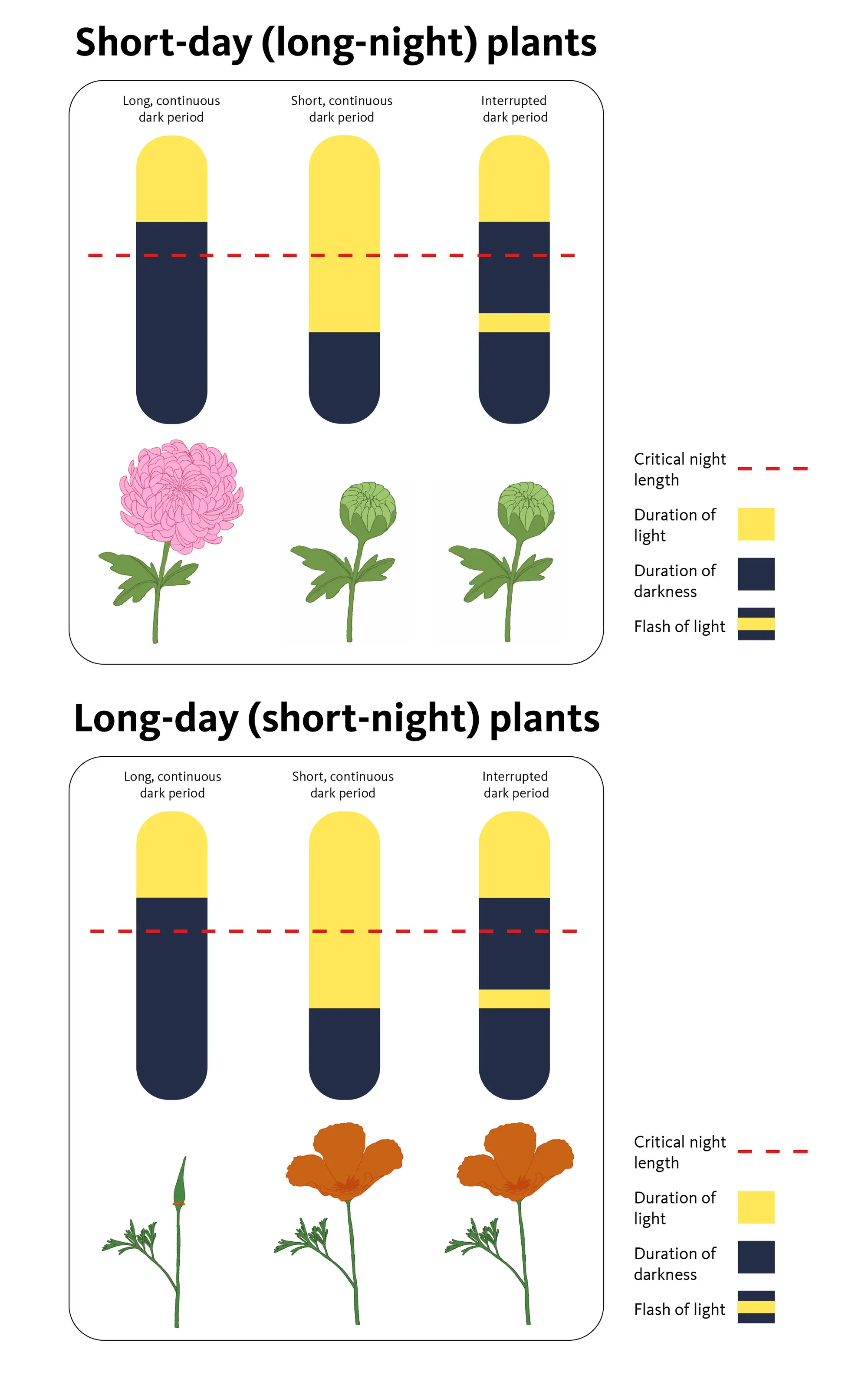 weather impacts on plant growth: studying temperature and moisture levels gardening science experiments