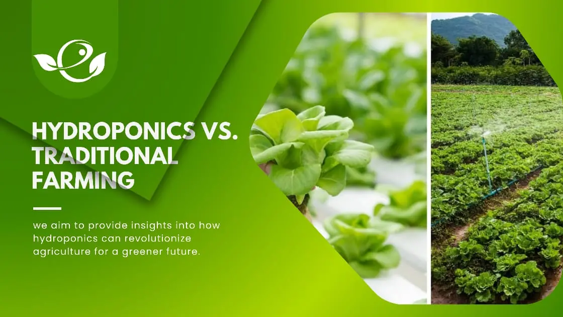 benefits of hydroponics compared to traditional gardening science experiments