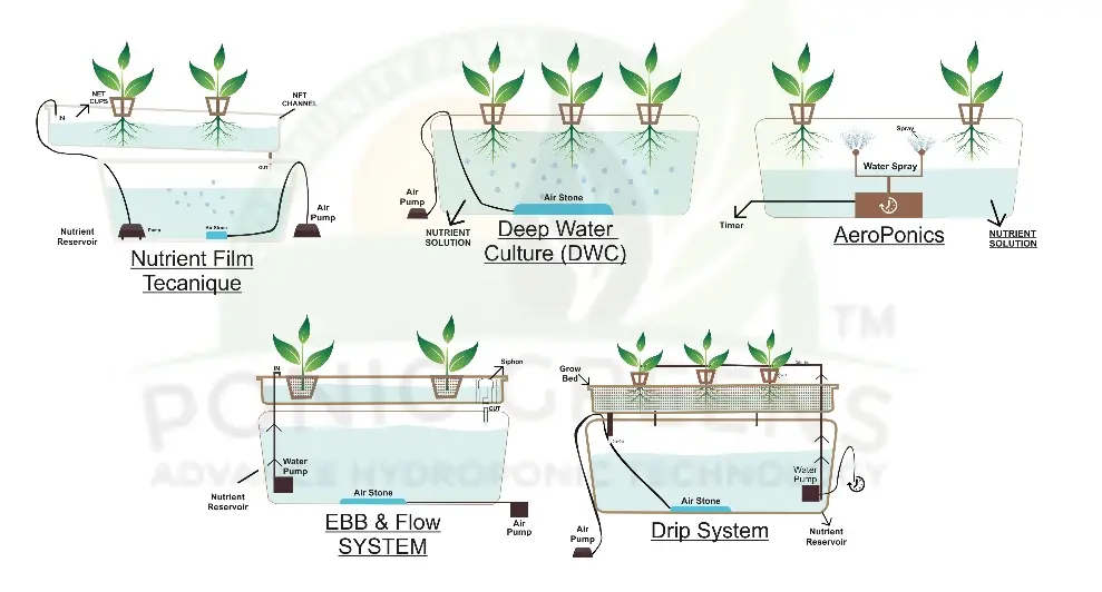 types of hydroponic gardening systems