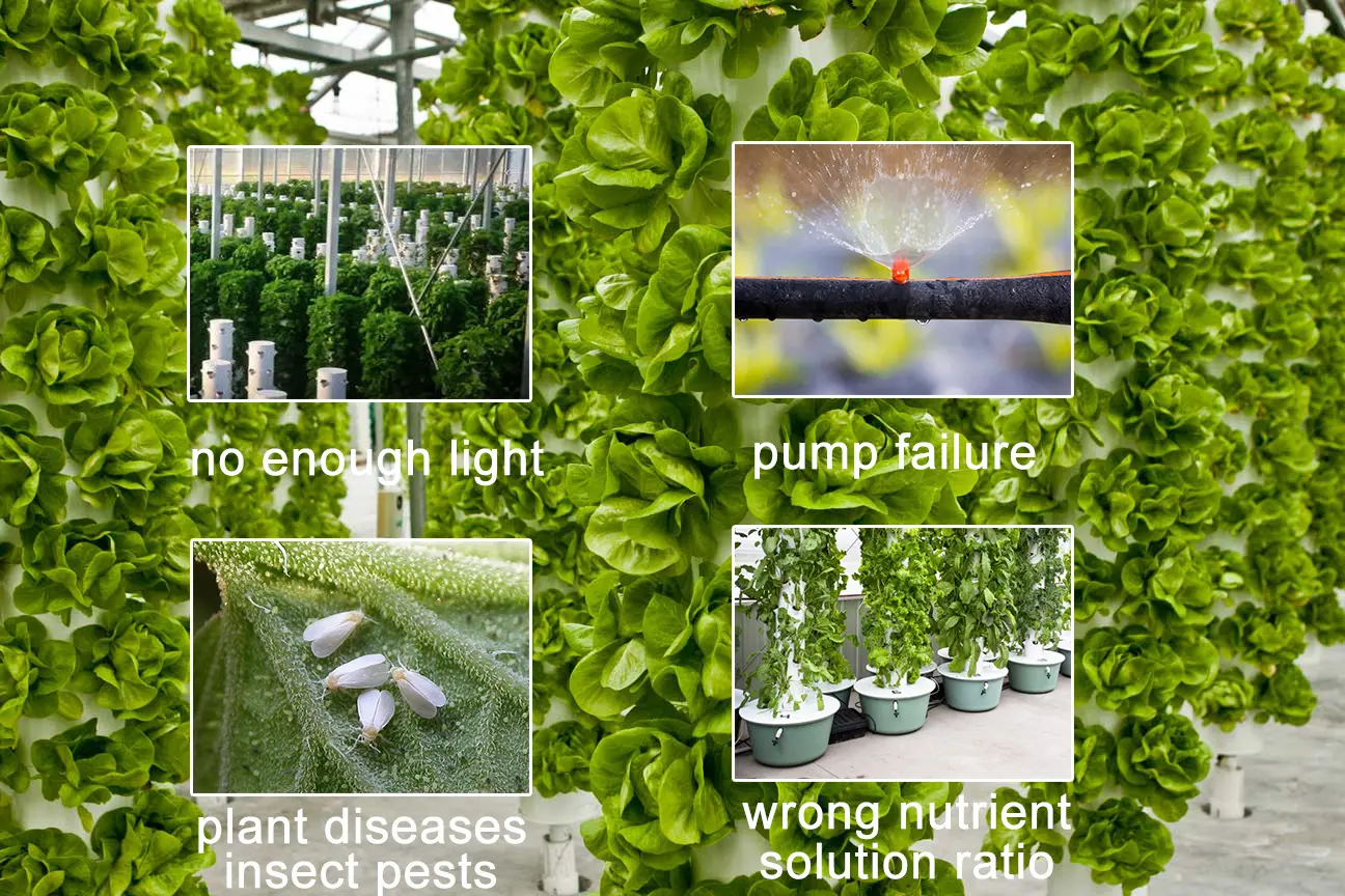 potential system failures hydroponic gardening systems