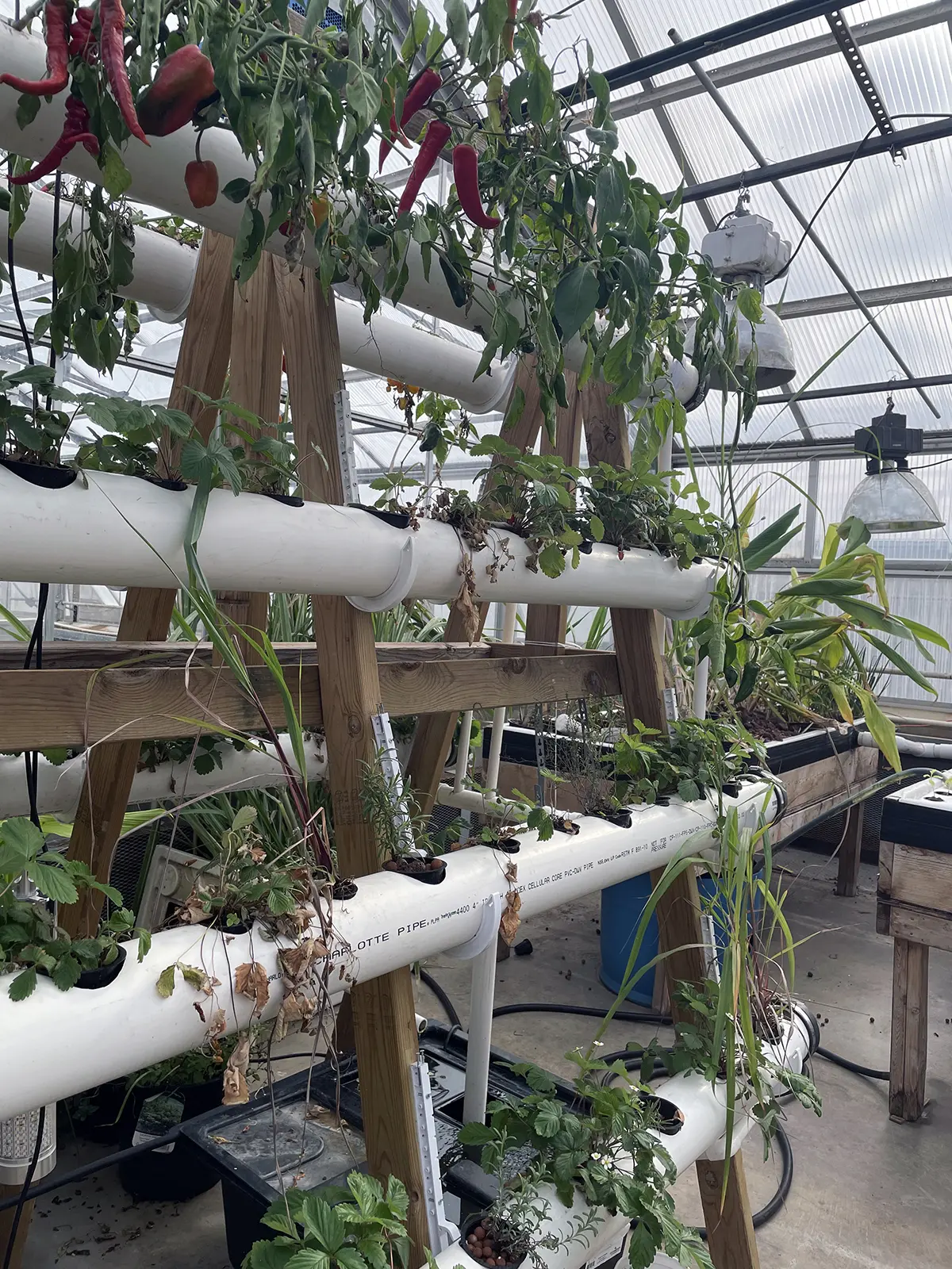 limited plant variety hydroponic gardening systems