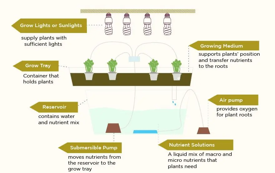 components of hydroponic gardening systems