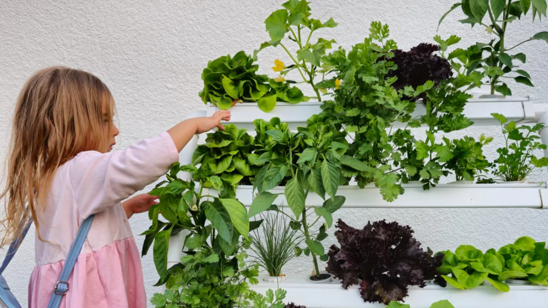 maintenance tips for hydroponic gardening systems