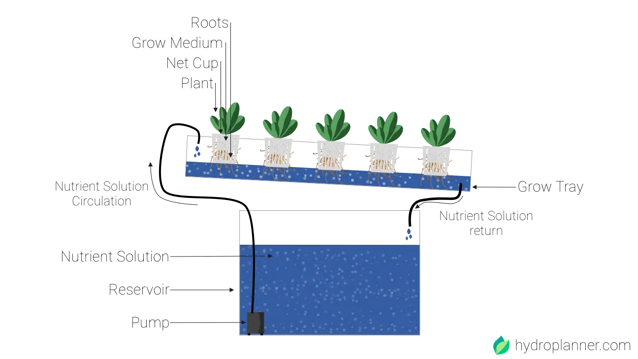 nutrient film technique systems hydroponic gardening