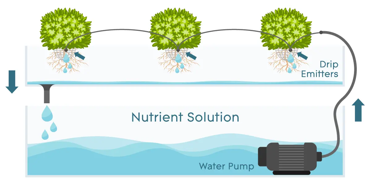 drip systems hydroponic gardening