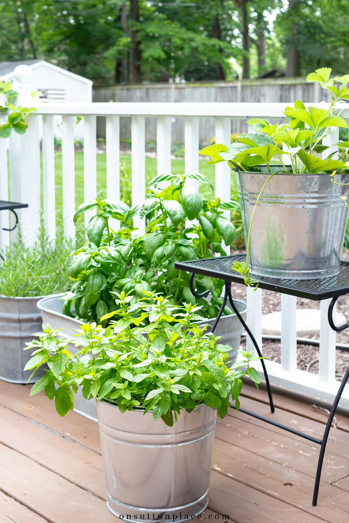 crafting unique containers for herb gardening indoor ideas