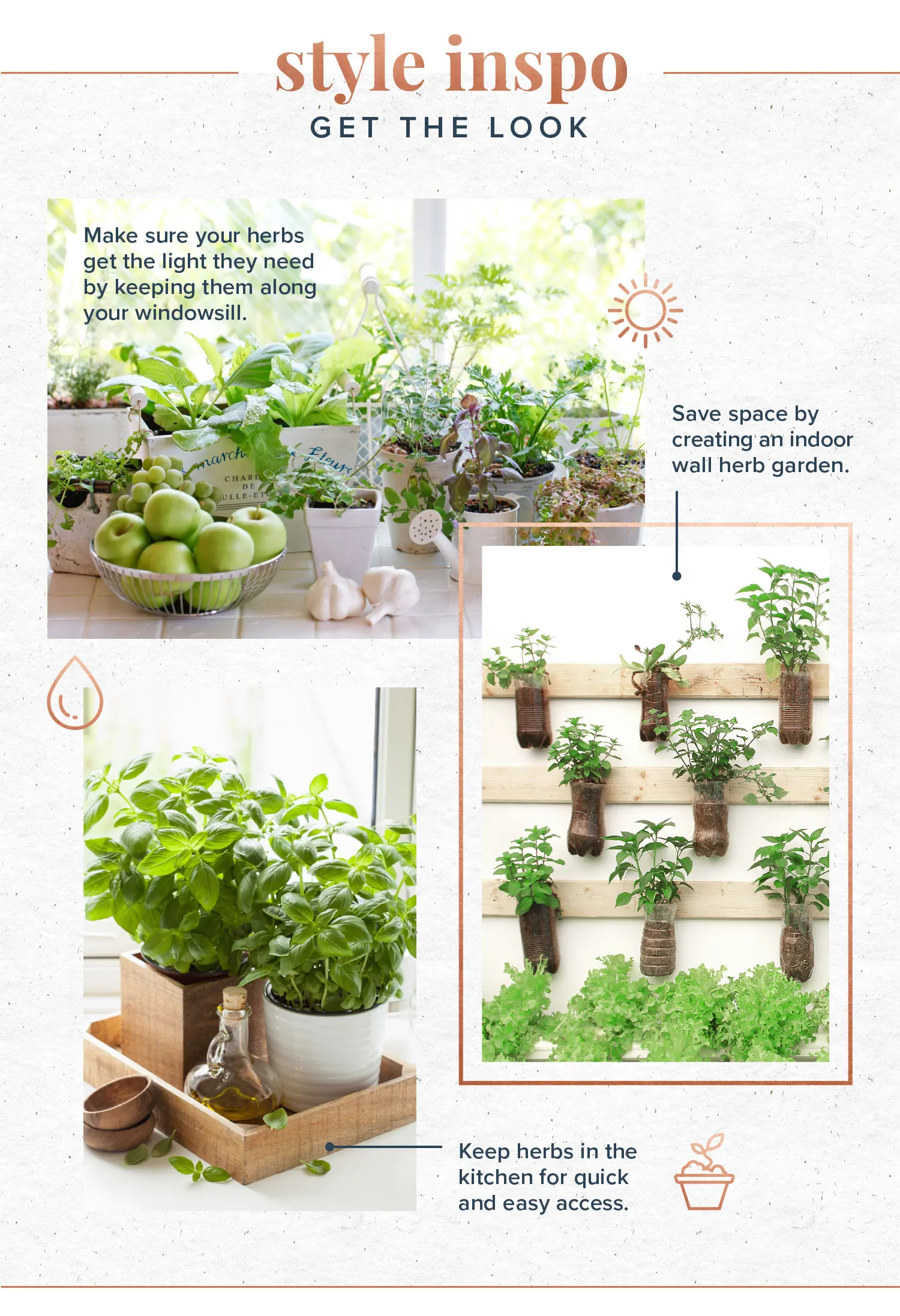 watering and maintenance tips for indoor herbs herb gardening ideas