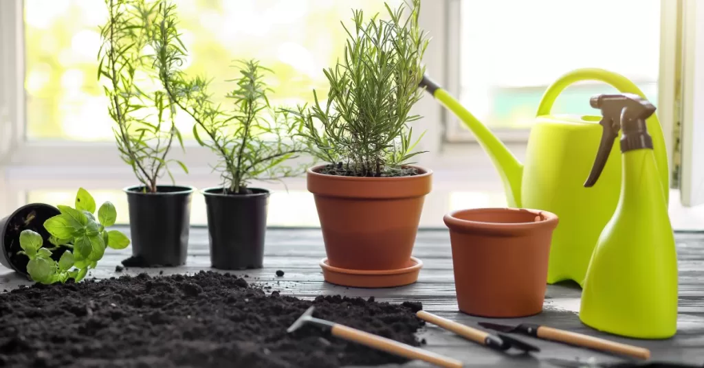 soil selection and care for potted herbs indoor herb gardening ideas