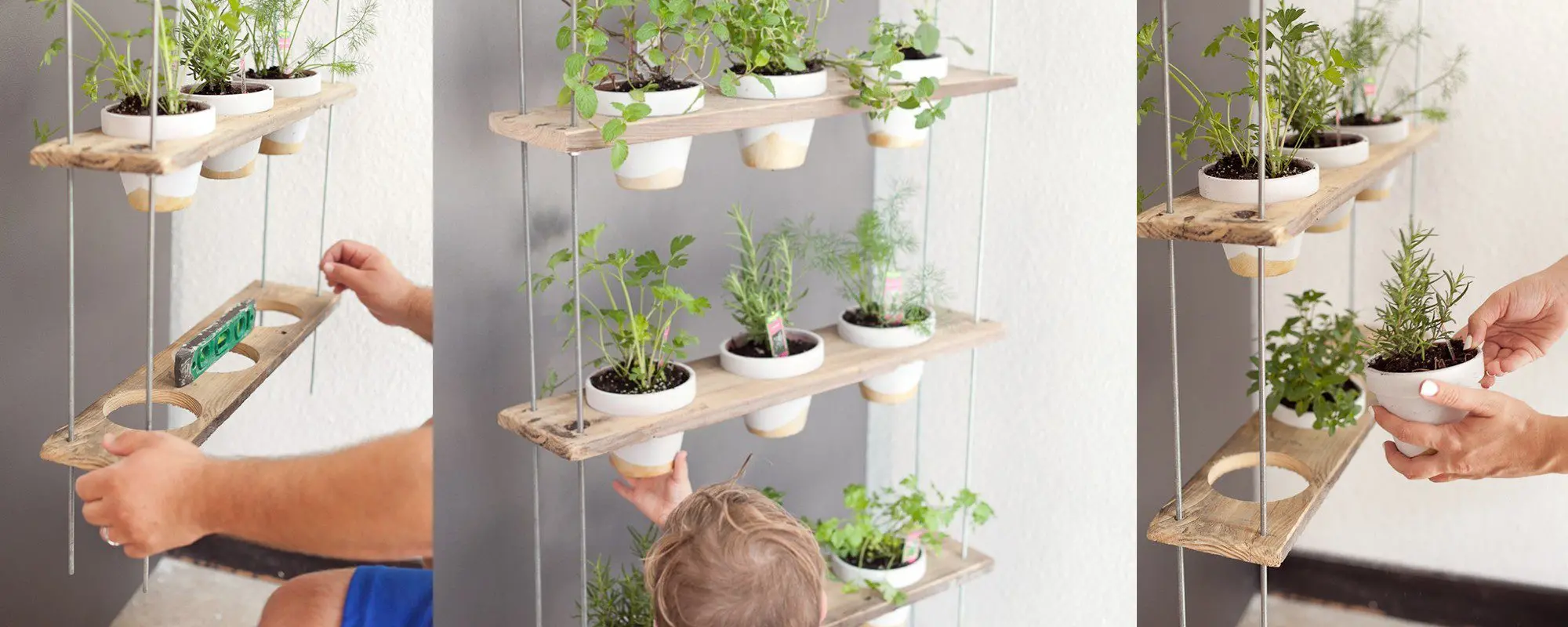 rustic and modern display ideas for herbs indoor herb gardening