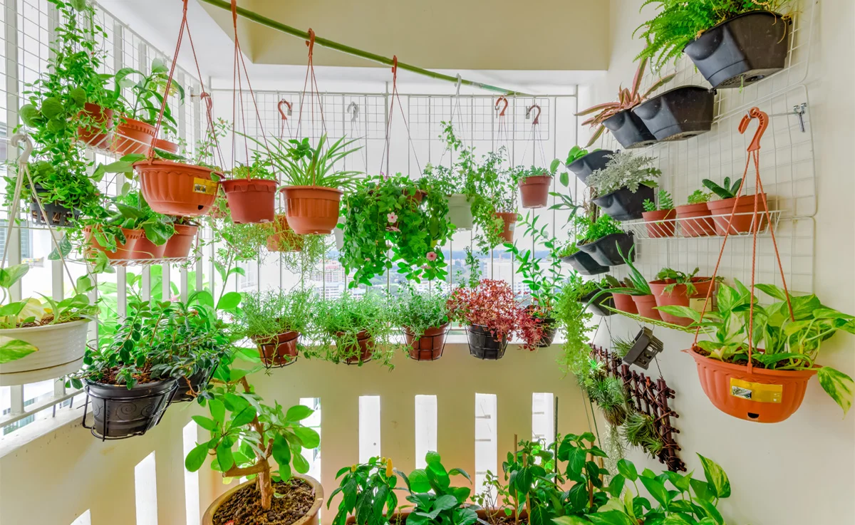 key considerations for growing indoor herbs herb gardening ideas