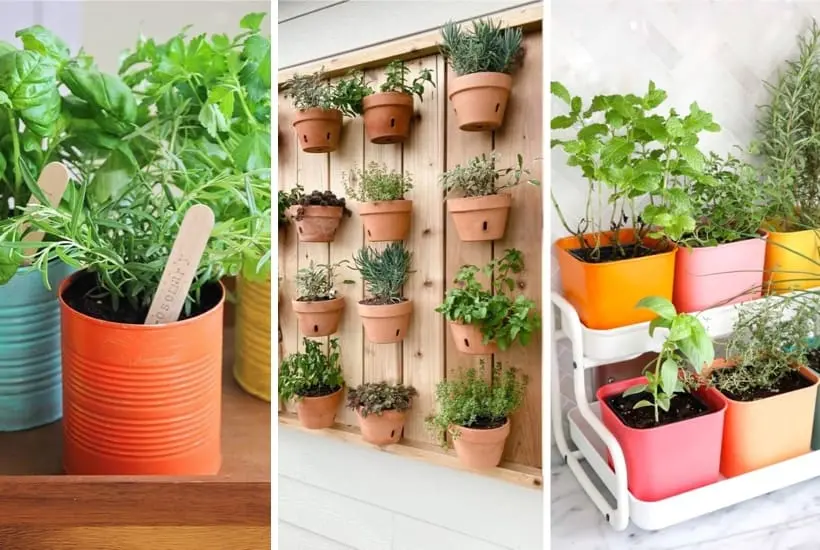 diy indoor herb garden projects gardening ideas