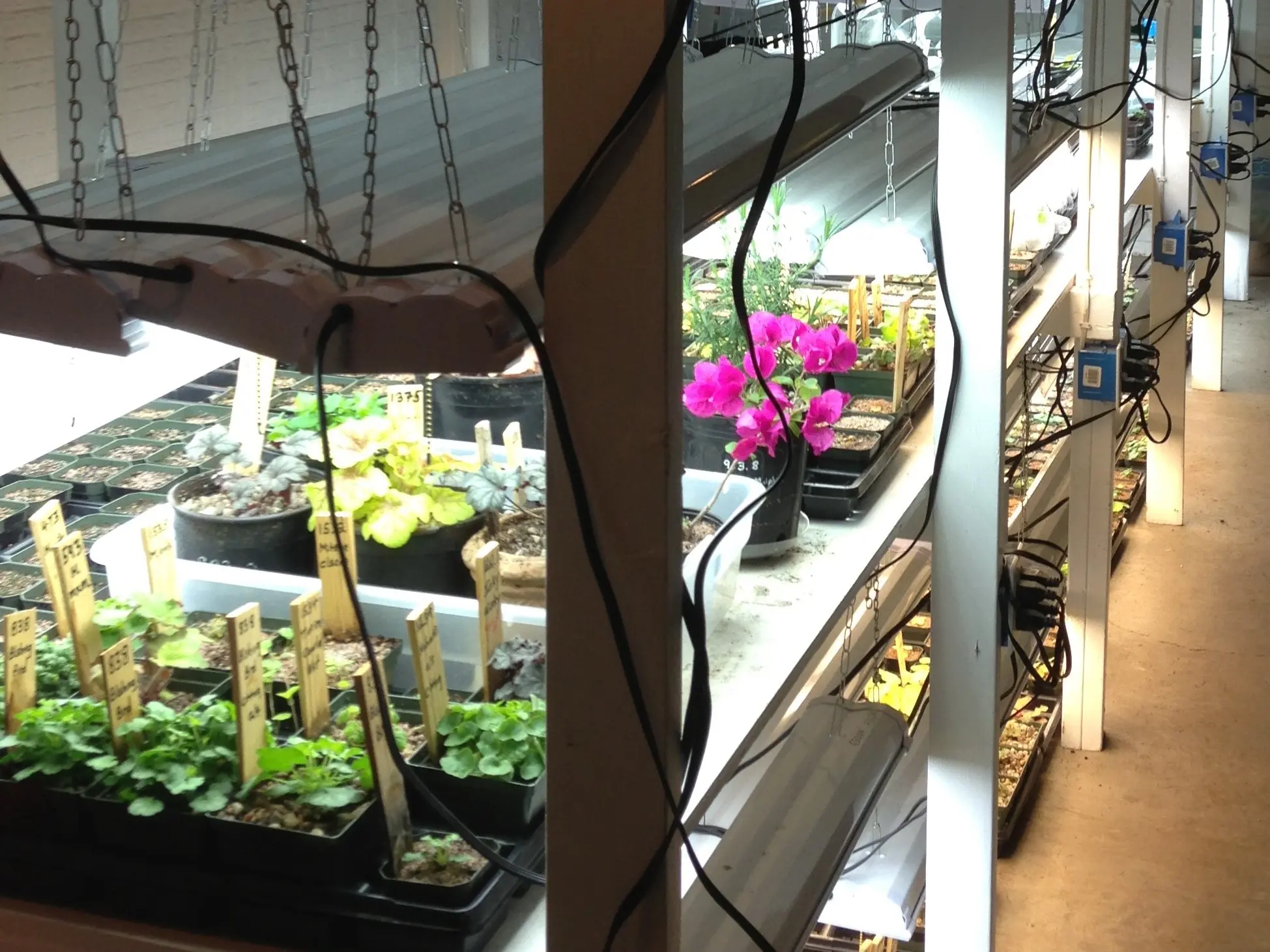 measuring light intensity for indoor plants lighting options