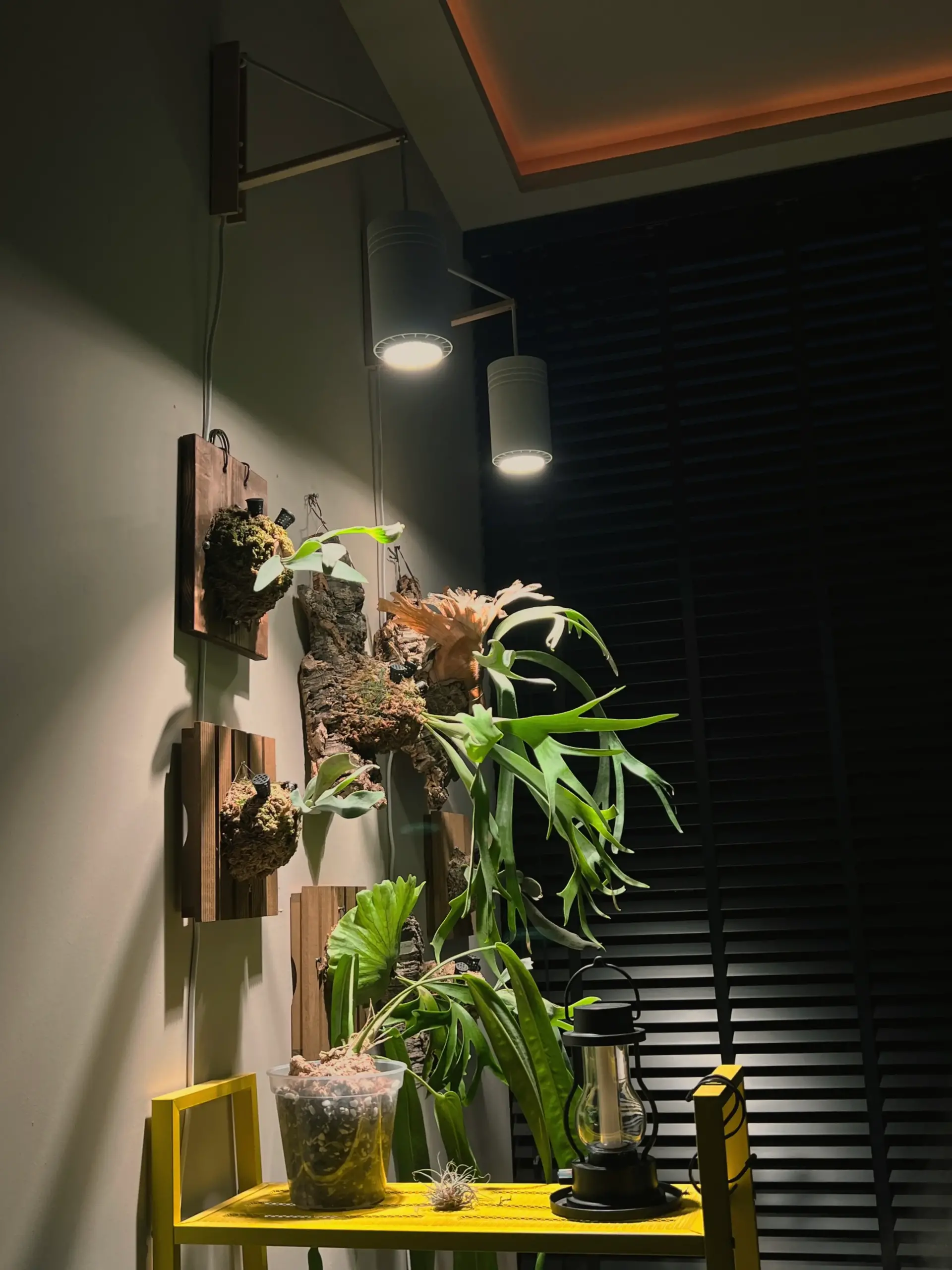 LED grow lights lighting options for indoor plants