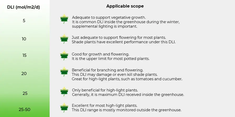 understanding micromoles and daily light integral (dli) lighting options for indoor plants