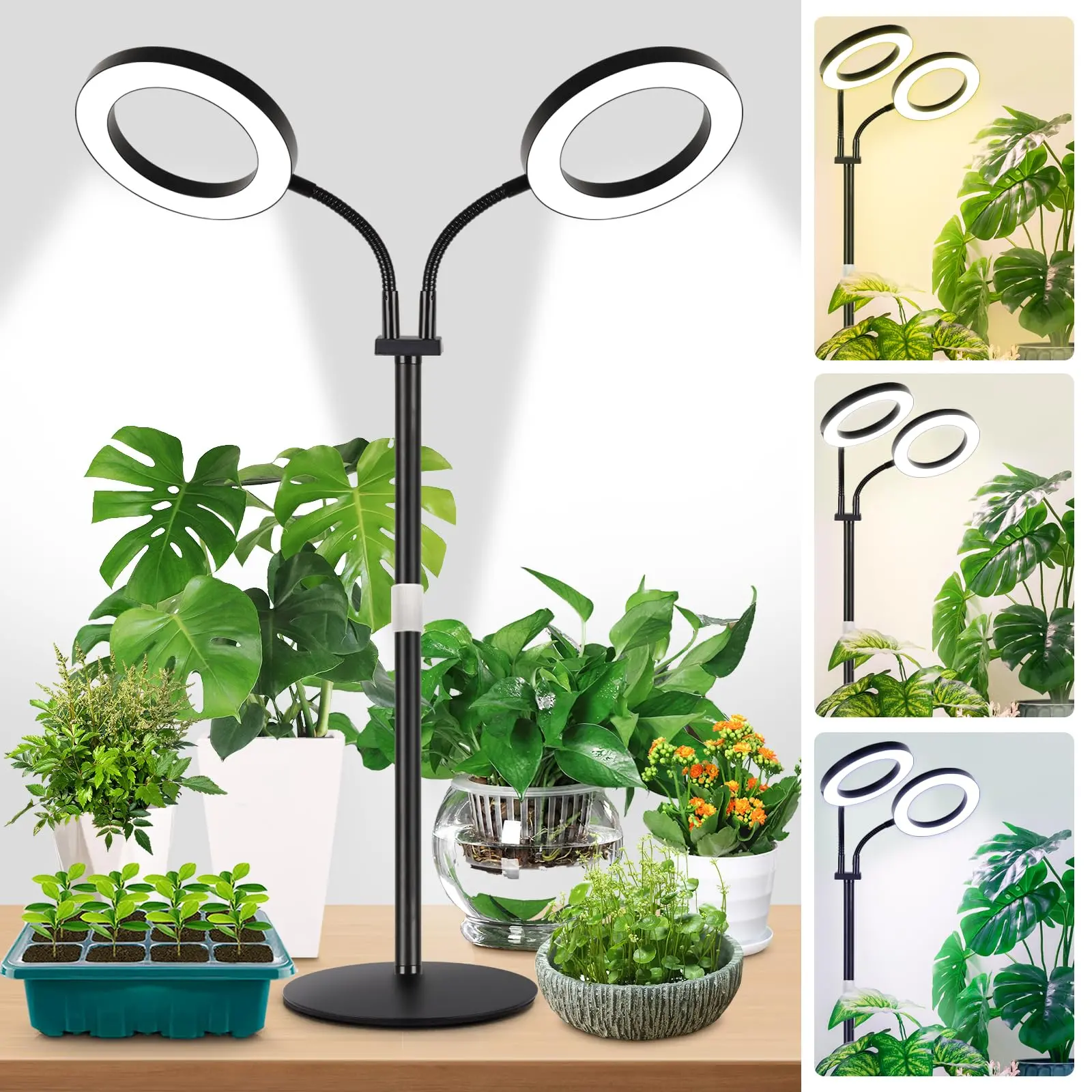 natural light sources for indoor plants lighting options