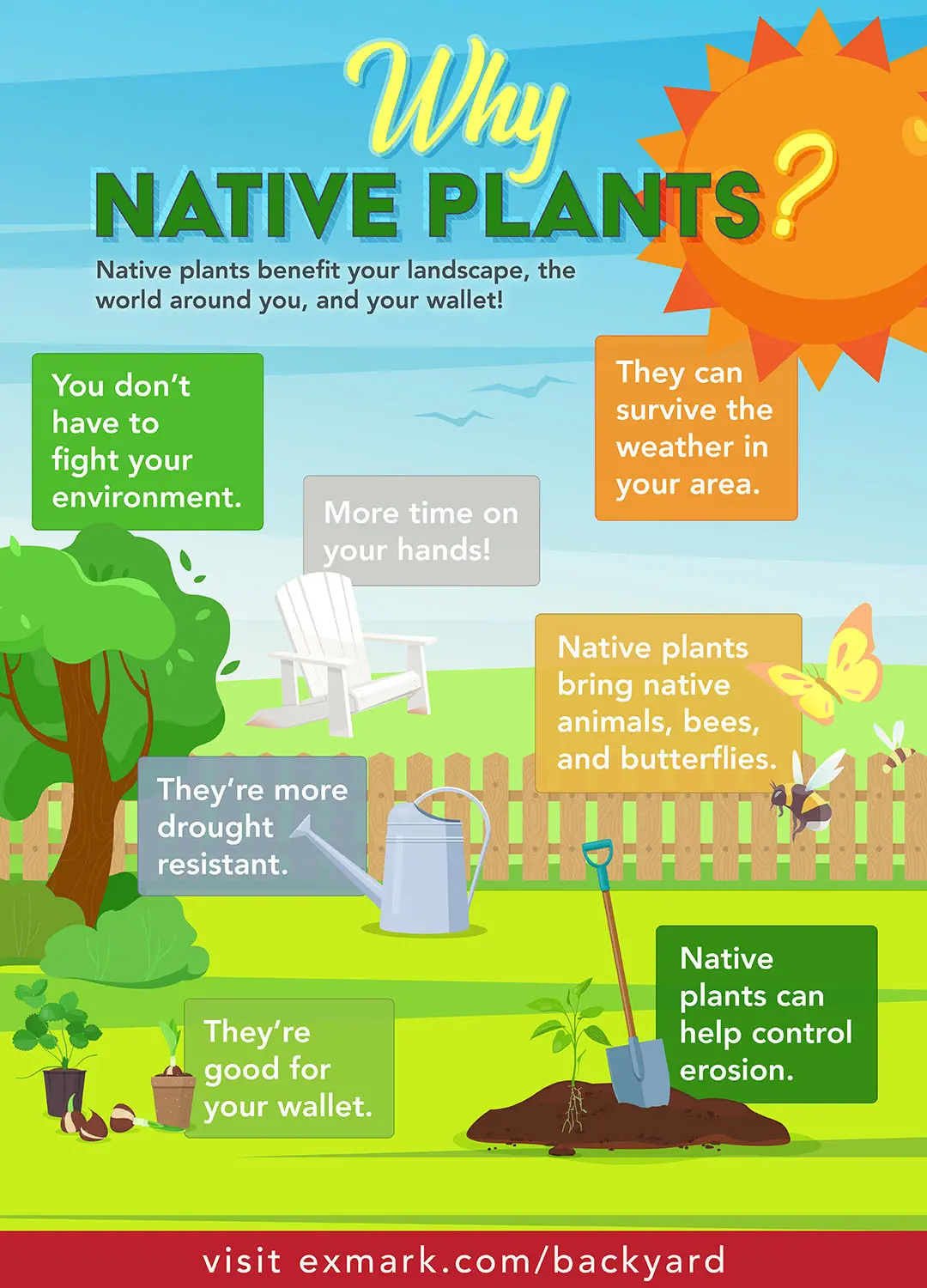 advantages of using native plants in landscaping for low maintenance