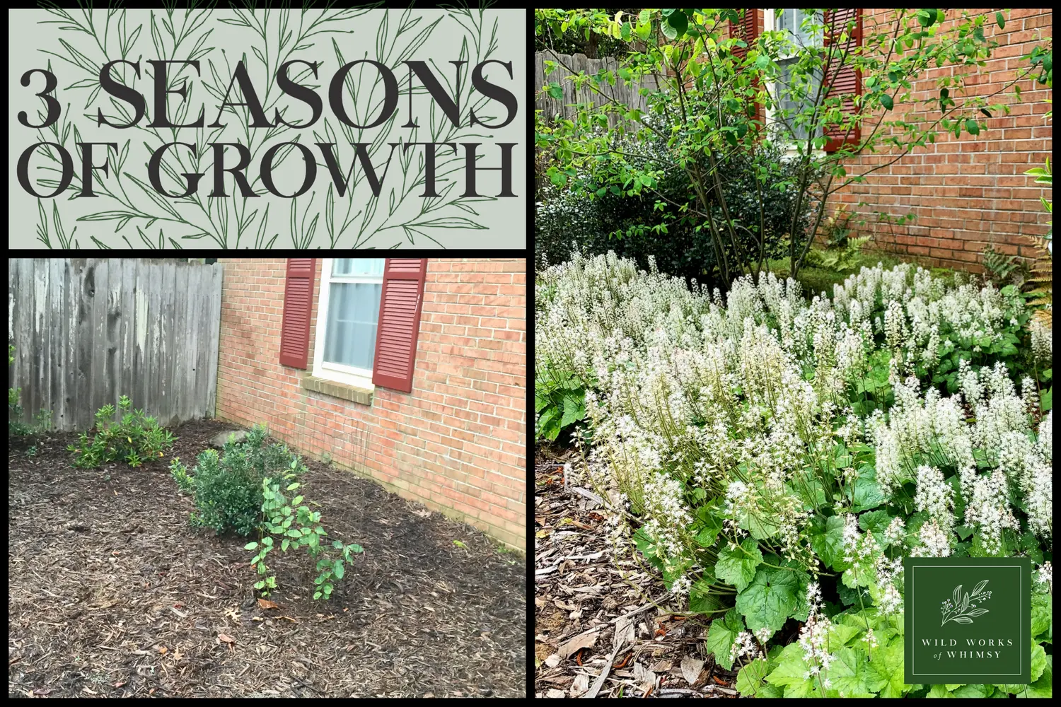 successful establishment techniques for native plants low maintenance