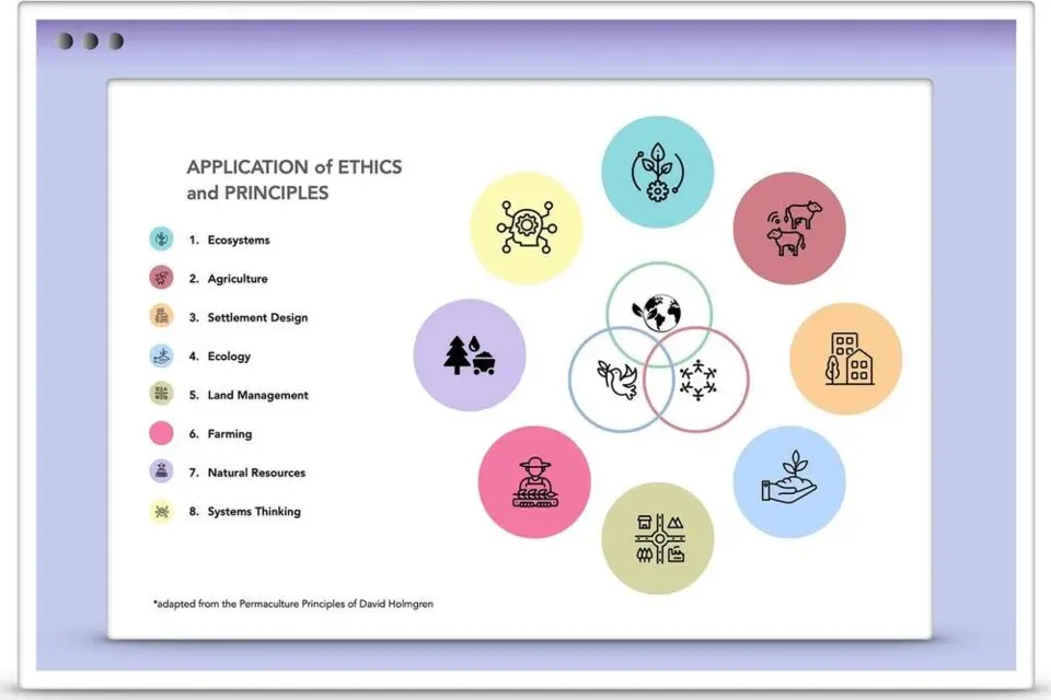 Historical Context and Development of Permaculture Principles