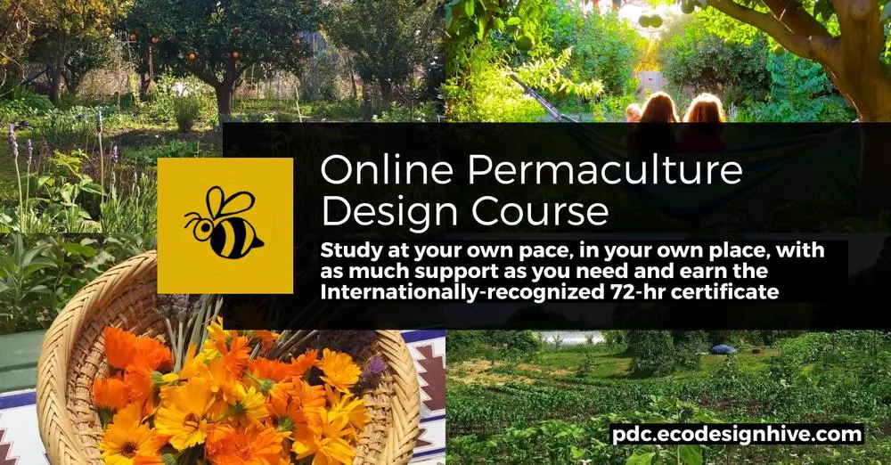 Workshops and Online Courses on Permaculture Principles