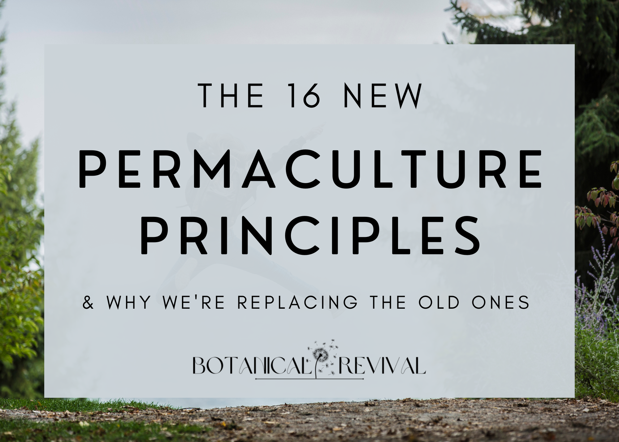 Relevance of Permaculture Principles in Modern Ecological Practices