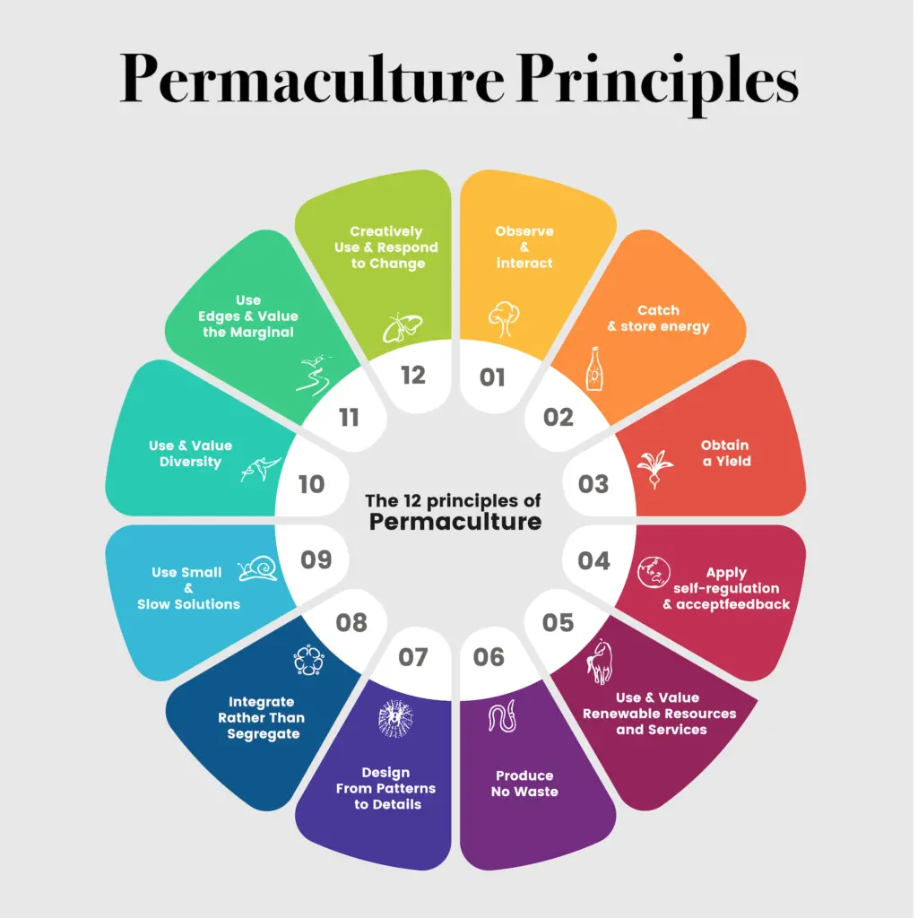 Core Permaculture Principles