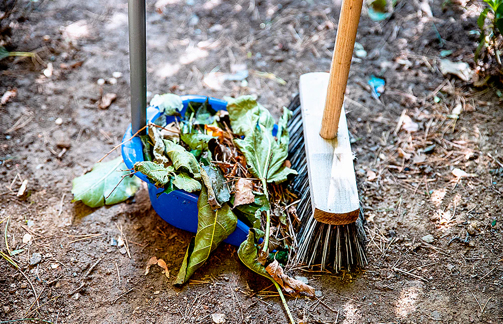 winter watering practices preparing your garden for