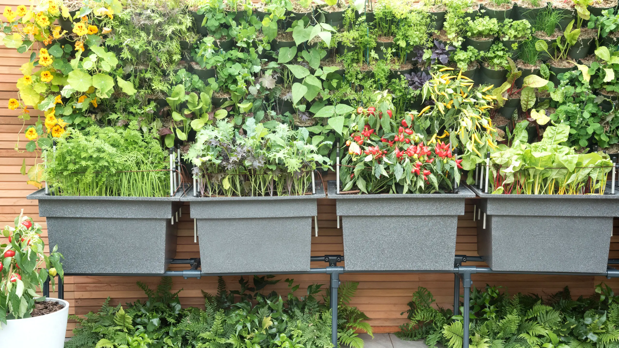 vertical gardening: a seasonal approach garden decor ideas