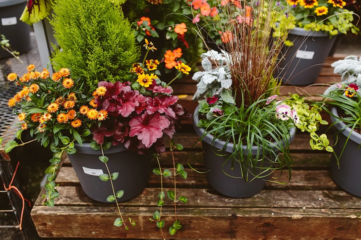 creative container ideas seasonal garden decor