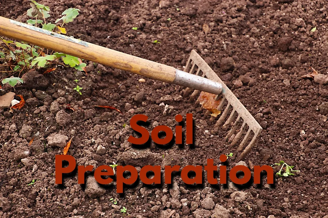 importance of soil preparation techniques