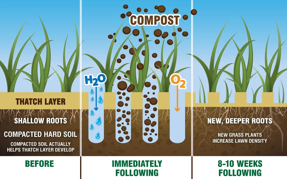 soil amendments and fertilization preparation techniques