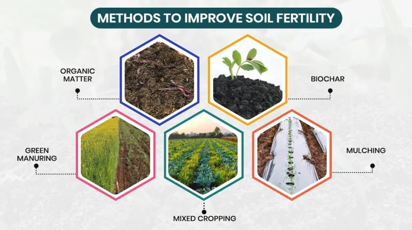 organic amendments for soil improvement preparation techniques