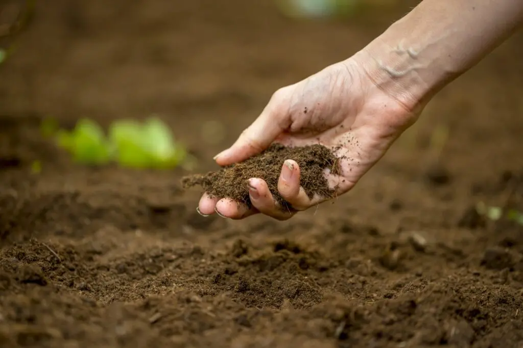 methods of soil loosening preparation techniques