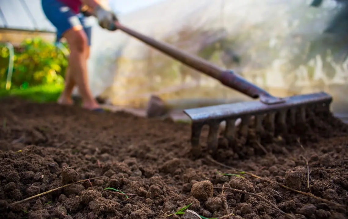 benefits of proper soil preparation techniques