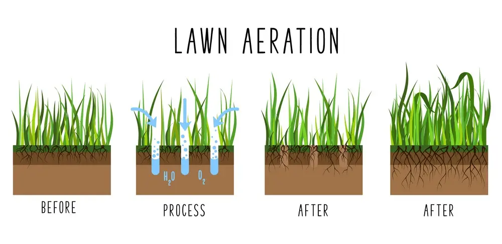 aeration techniques soil preparation