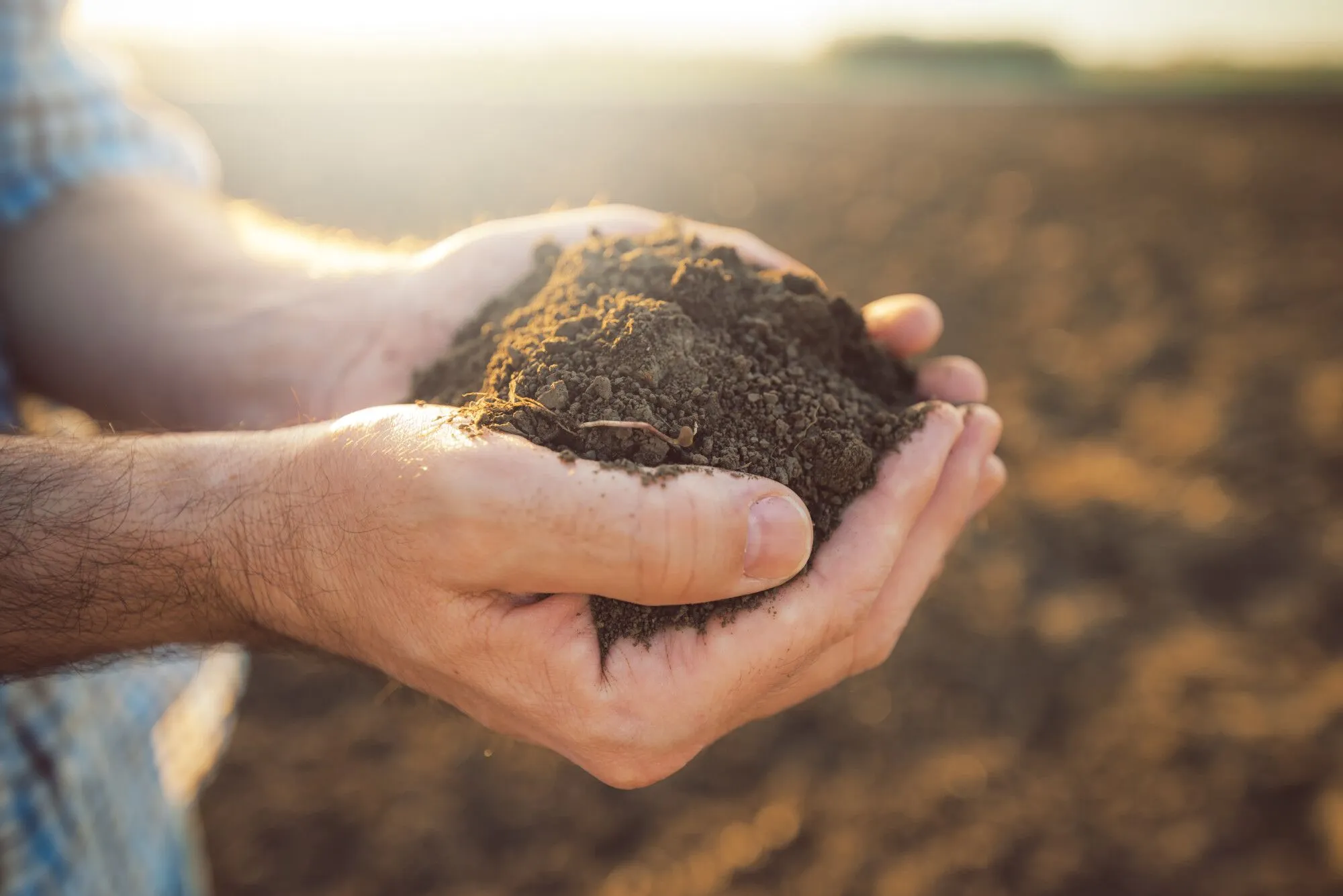 season-specific soil preparation techniques