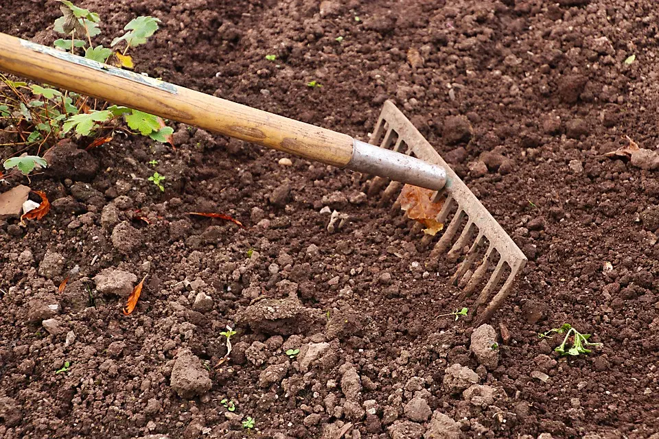 spring soil preparation techniques