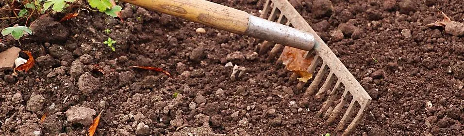 fall soil preparation methods techniques