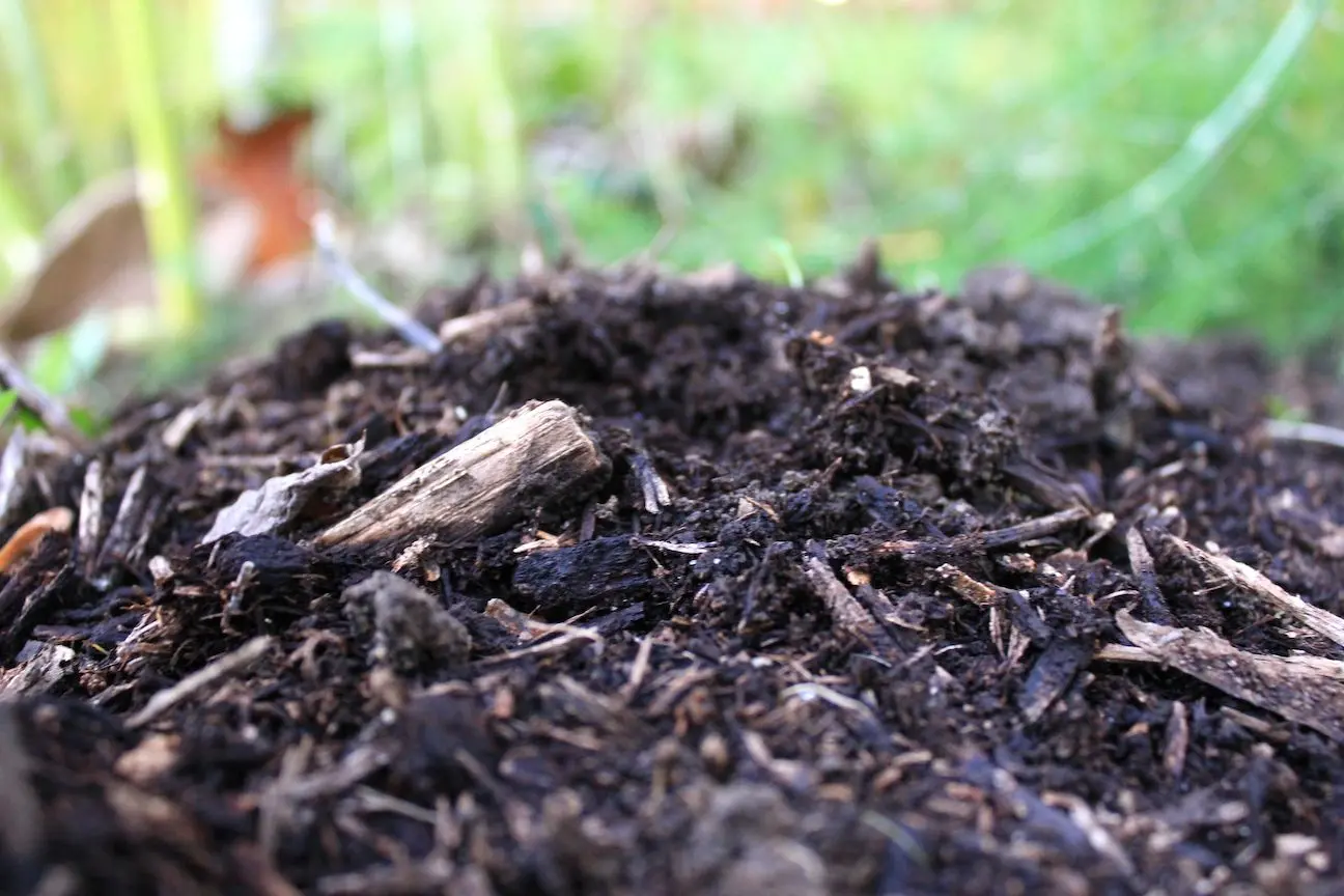 winter soil preparation considerations techniques