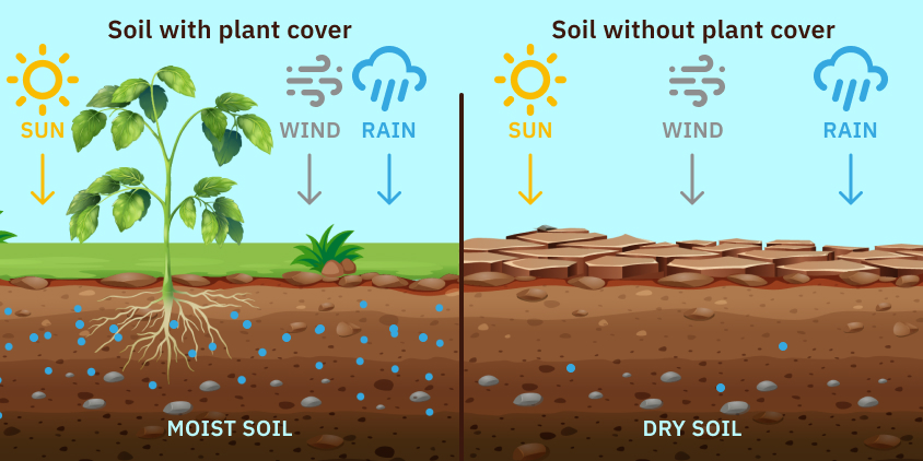 advanced soil preparation methods techniques