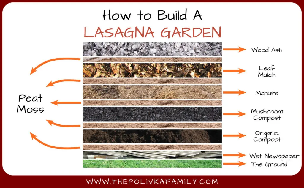 lasagna gardening method soil preparation techniques