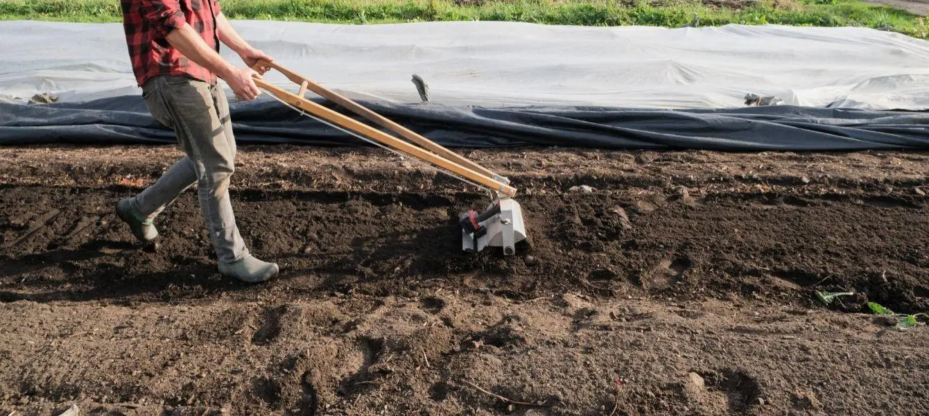 biointensive gardening practices soil preparation techniques