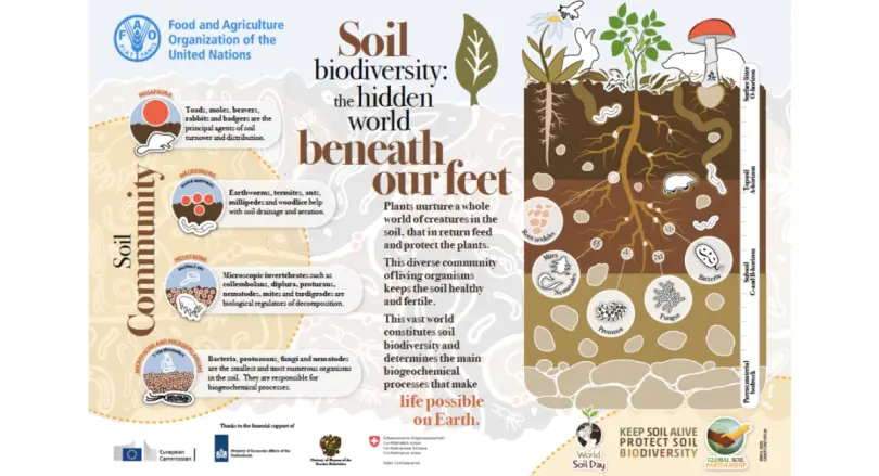 soil types and their preparation techniques