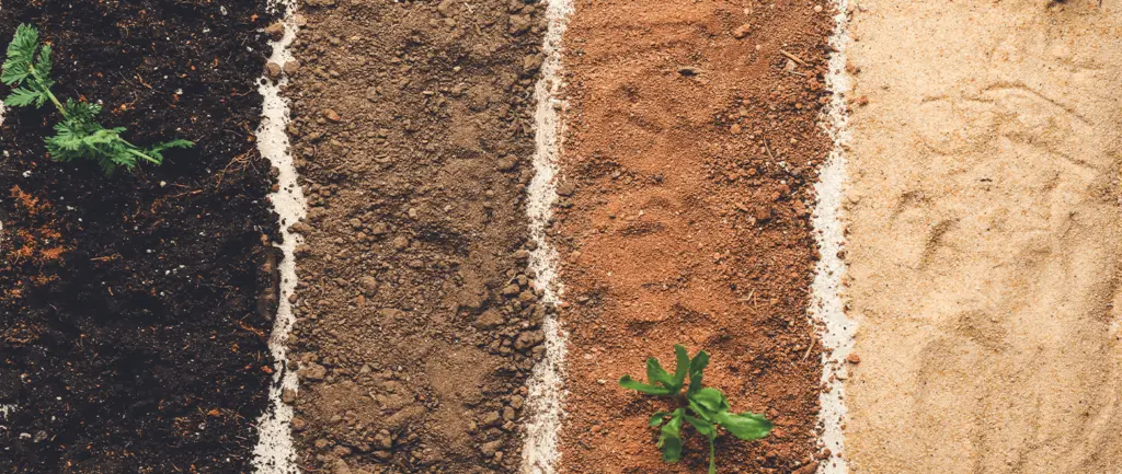 sandy soil preparation techniques