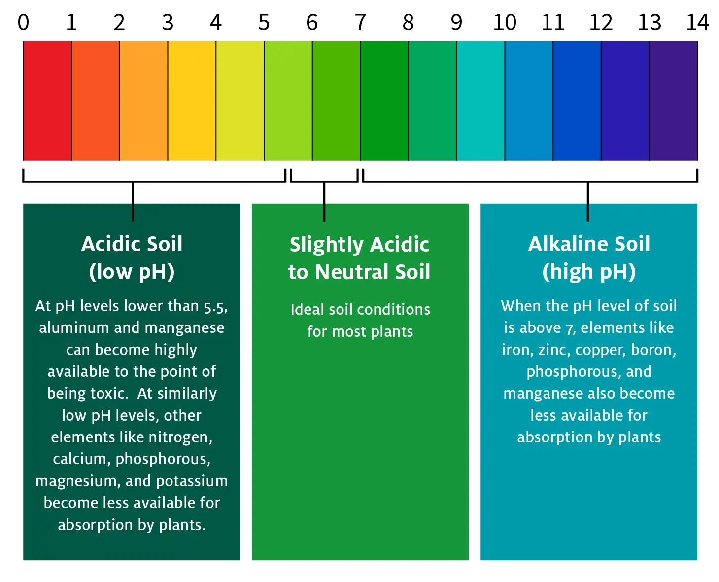 understanding soil ph and nutrients preparation techniques