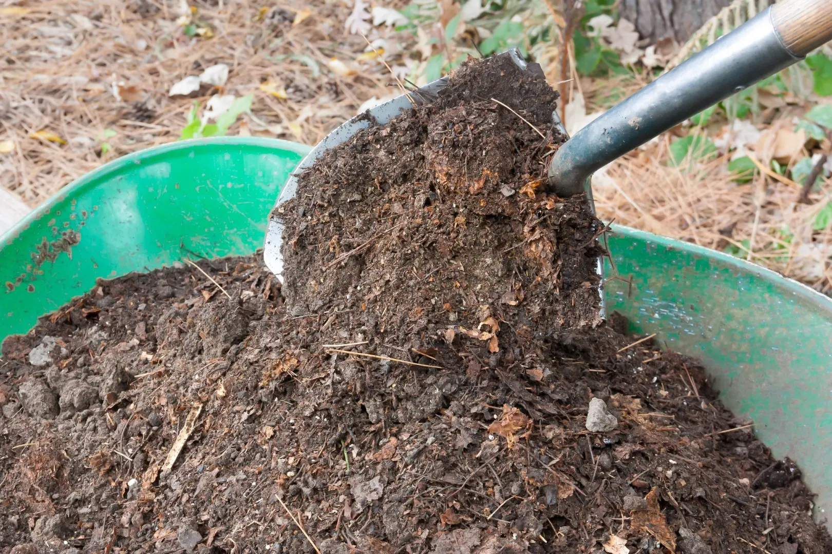 benefits of using compost in your garden