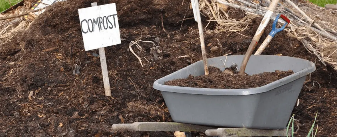 compost from local resources using in your garden