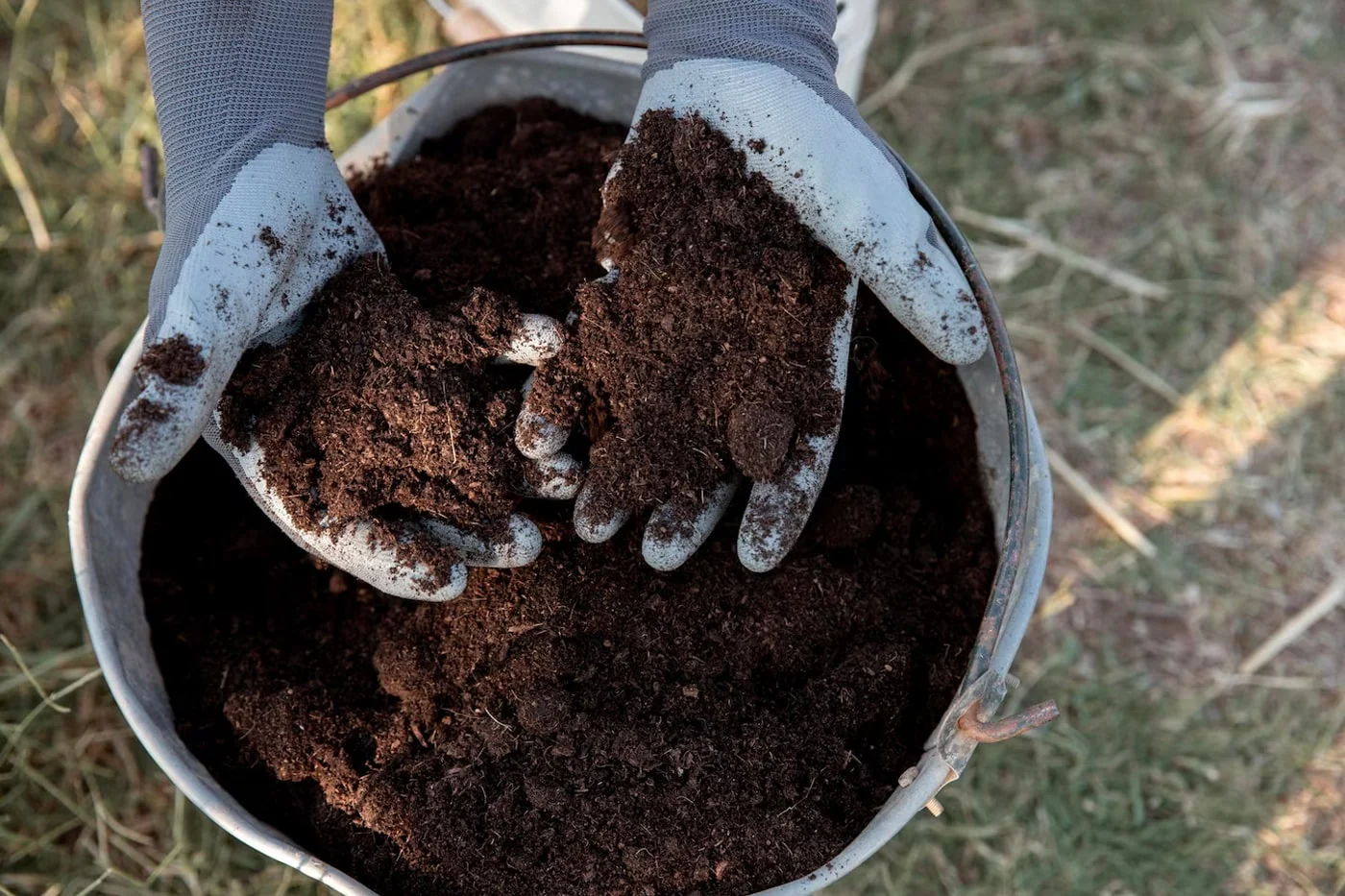 comparing compost with other soil amendments using in your garden