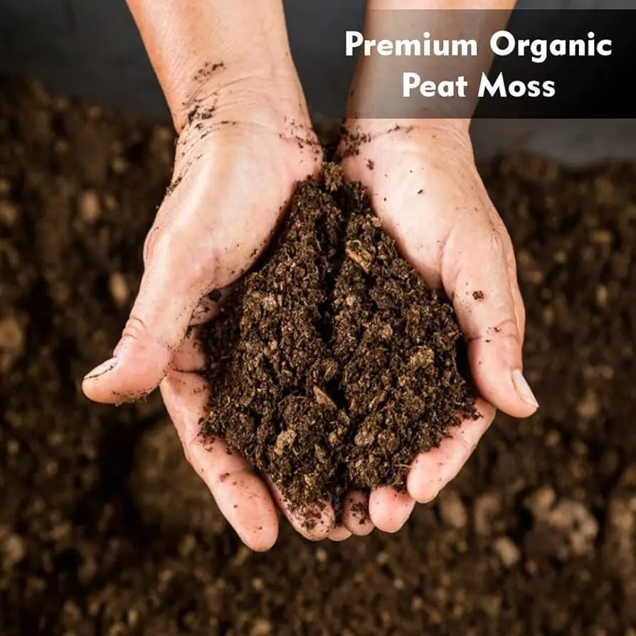 compost vs. peat moss using in your garden